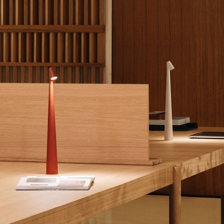 Sculpting table lamp