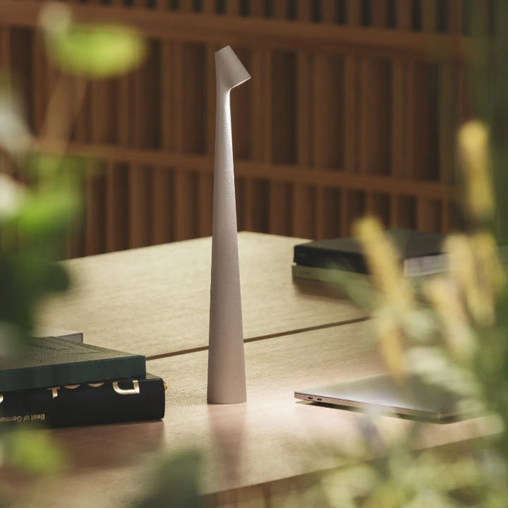 Sculpting table lamp