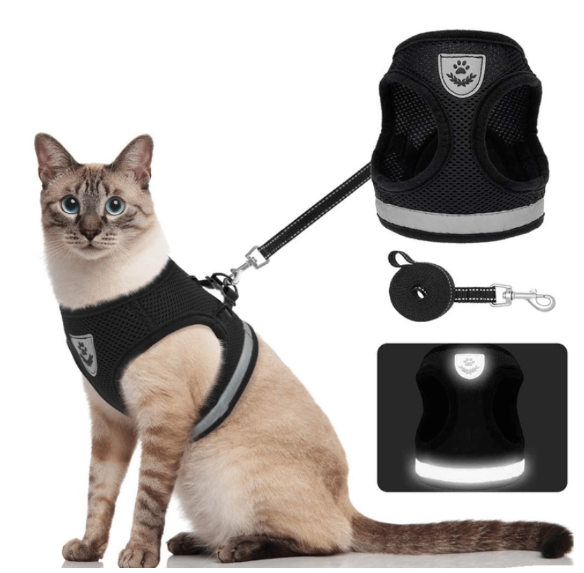 BowLift | ADVENTURE HARNESS – Escape-proof cat harness with leash &amp; reflective elements