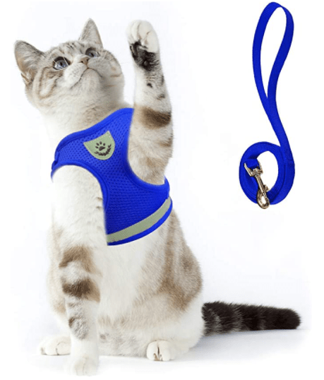 BowLift | ADVENTURE HARNESS – Escape-proof cat harness with leash &amp; reflective elements