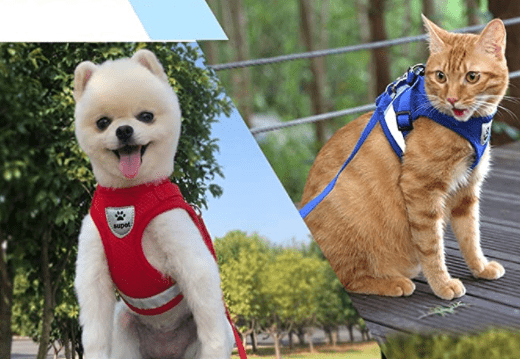 BowLift | ADVENTURE HARNESS – Escape-proof cat harness with leash &amp; reflective elements
