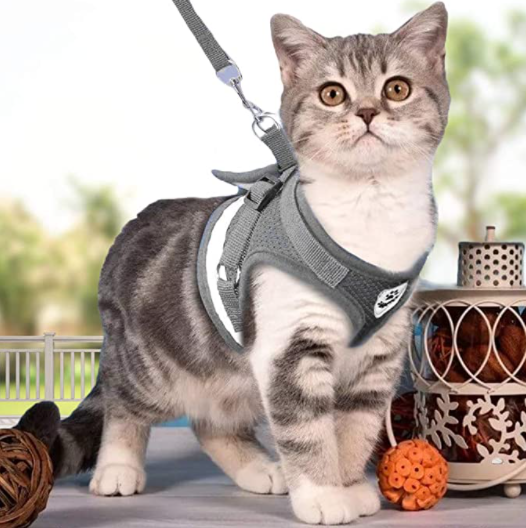 AdventureKit - Safe Harness for Adventurous Cats Bowlift
