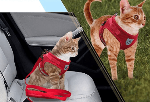 BowLift | ADVENTURE HARNESS – Escape-proof cat harness with leash &amp; reflective elements