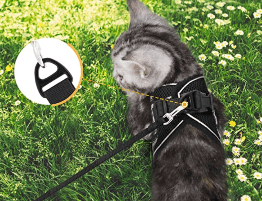 BowLift | ADVENTURE HARNESS – Escape-proof cat harness with leash &amp; reflective elements