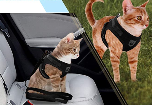 AdventureKit - Safe Harness for Adventurous Cats Bowlift