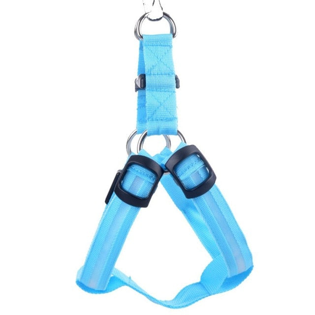 LED Dog Harness - Glow&amp;Go Bowlift