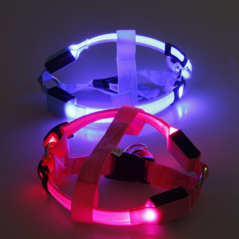 LED Dog Harness - Glow&amp;Go Bowlift