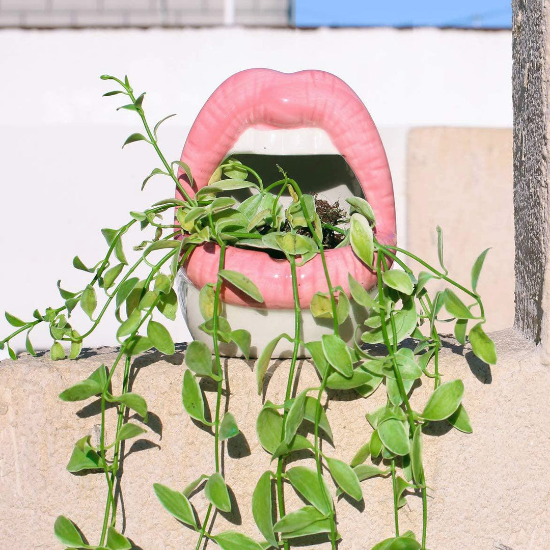 BowLift | Lips Flower Pot