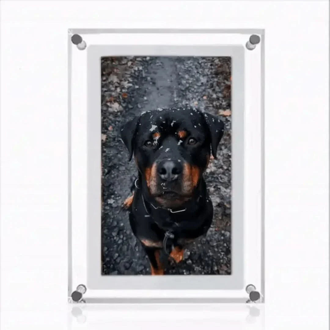BowLift | Memory Frame | For Eternal Memories