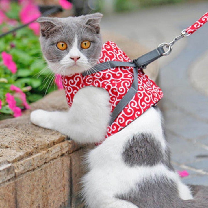 BowLift | PAWVENTURE HARNESS – Cat Harness Vest Set with Breathable Mesh &amp; Leash