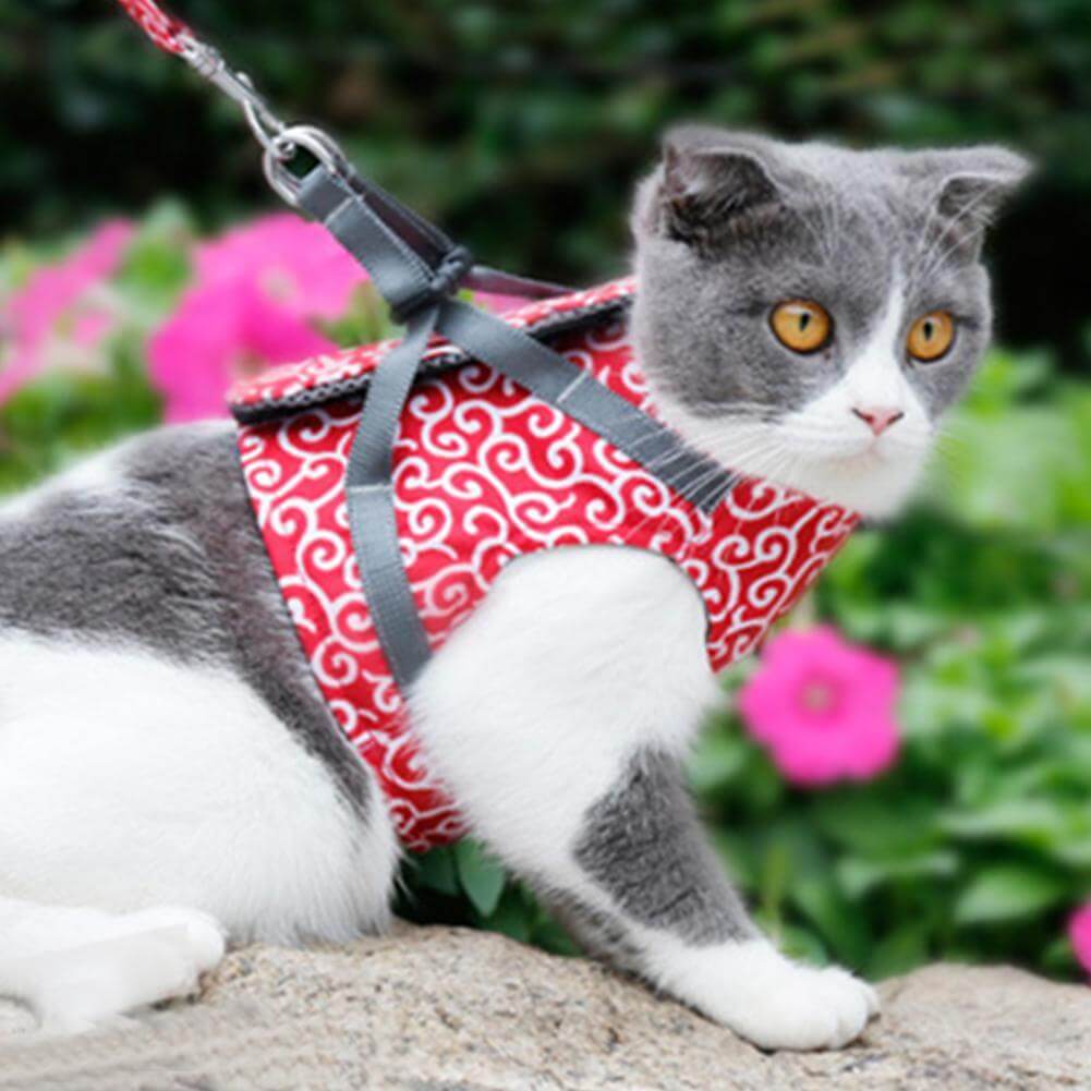 BowLift | PAWVENTURE HARNESS – Cat Harness Vest Set with Breathable Mesh &amp; Leash