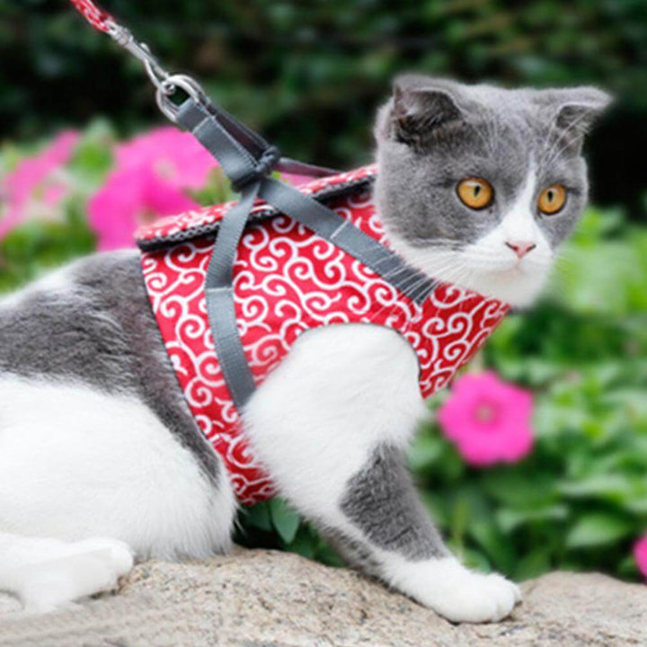 BowLift | PAWVENTURE HARNESS – Cat Harness Vest Set with Breathable Mesh &amp; Leash
