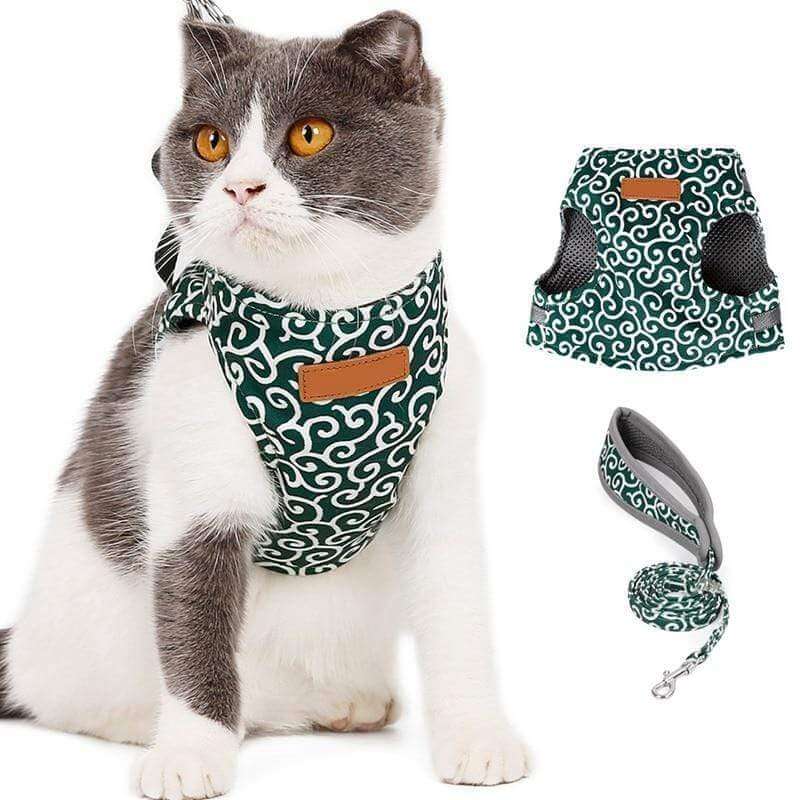 BowLift | PAWVENTURE HARNESS – Cat Harness Vest Set with Breathable Mesh &amp; Leash