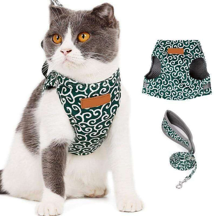 BowLift | PAWVENTURE HARNESS – Cat Harness Vest Set with Breathable Mesh &amp; Leash