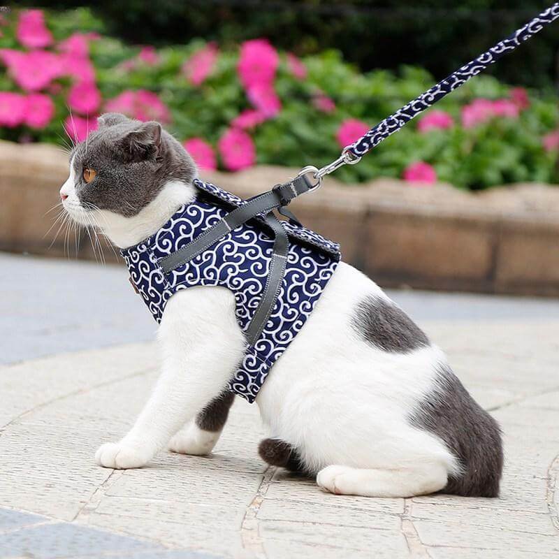 BowLift | PAWVENTURE HARNESS – Cat Harness Vest Set with Breathable Mesh &amp; Leash
