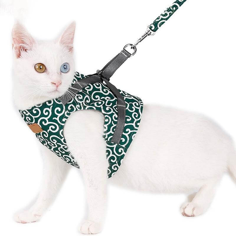 BowLift | PAWVENTURE HARNESS – Cat Harness Vest Set with Breathable Mesh &amp; Leash