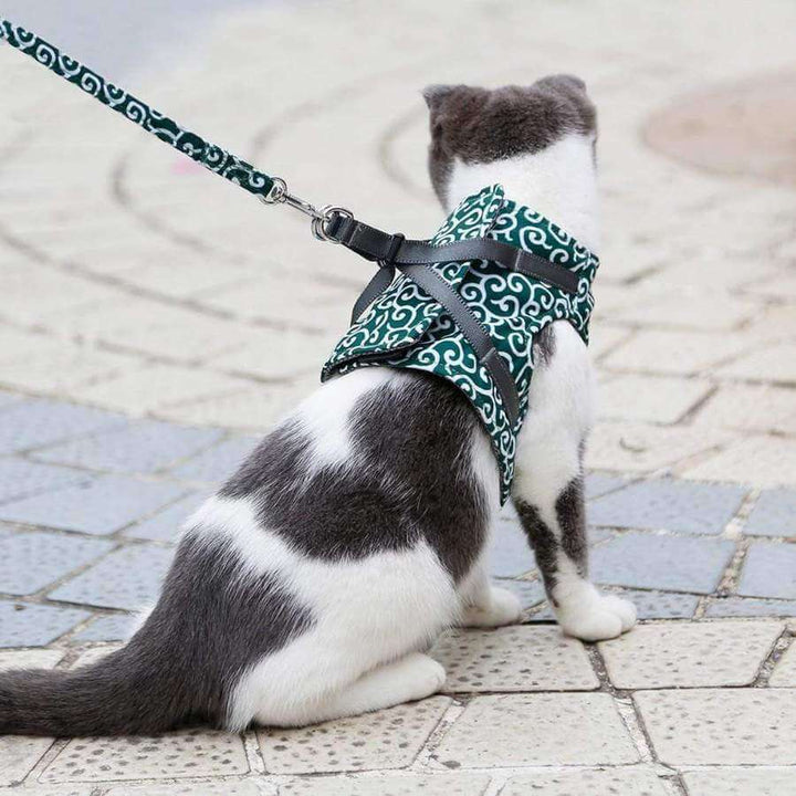BowLift | PAWVENTURE HARNESS – Cat Harness Vest Set with Breathable Mesh &amp; Leash