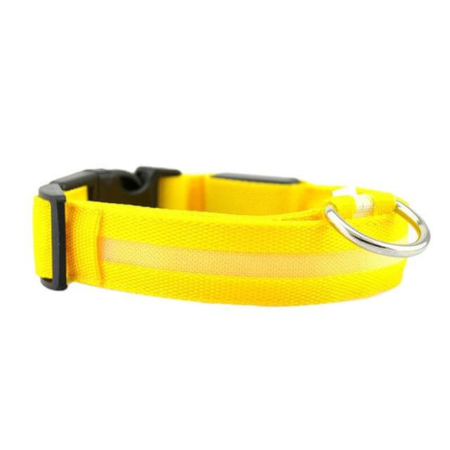 BowLift | GlowPets LED Collar – Safety &amp; Visibility for Pets