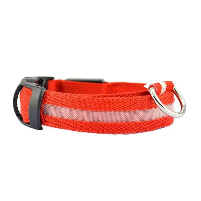 BowLift | GlowPets LED Collar – Safety &amp; Visibility for Pets