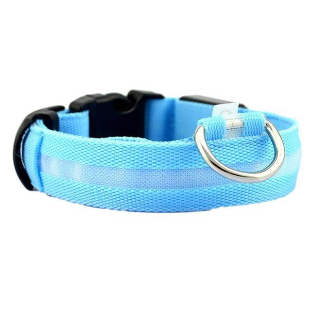 BowLift | GlowPets LED Collar – Safety &amp; Visibility for Pets