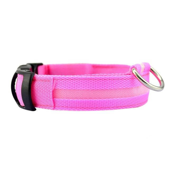 BowLift | GlowPets LED Collar – Safety &amp; Visibility for Pets