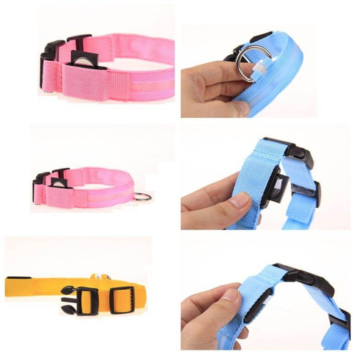 BowLift | GlowPets LED Collar – Safety &amp; Visibility for Pets