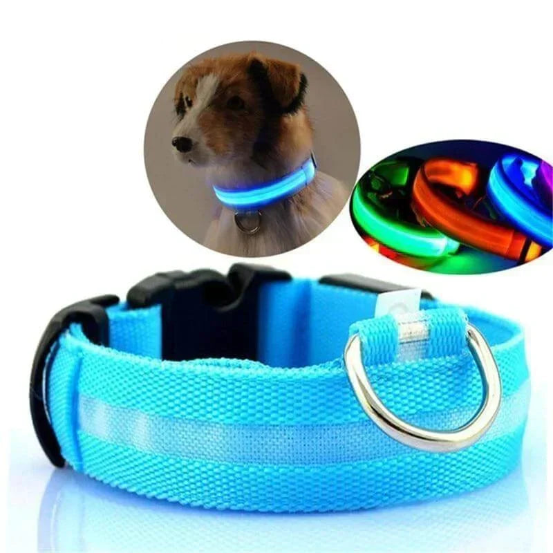 BowLift | GlowPets LED Collar – Safety &amp; Visibility for Pets