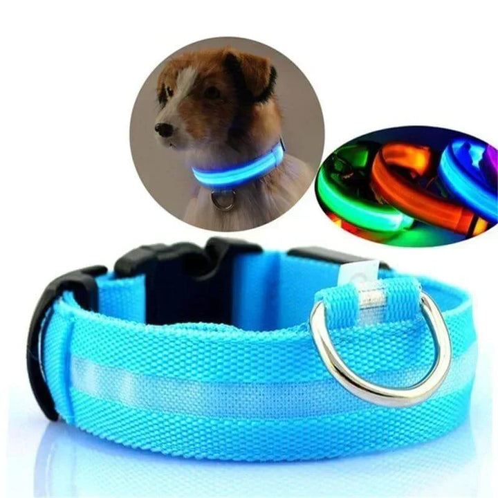 BowLift | GlowPets LED Collar – Safety &amp; Visibility for Pets