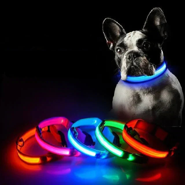BowLift | GlowPets LED Collar – Safety &amp; Visibility for Pets