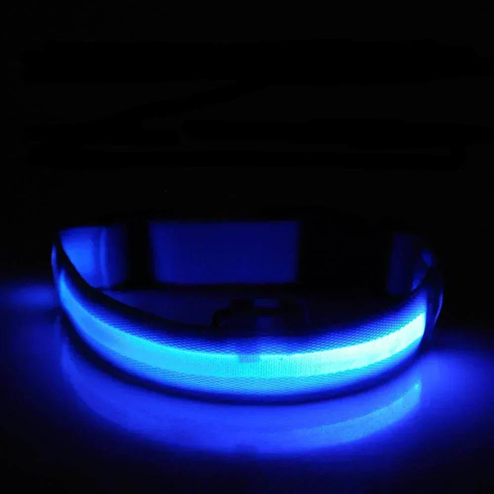 BowLift | GlowPets LED Collar – Safety &amp; Visibility for Pets