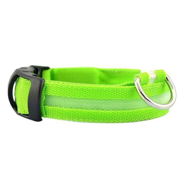 BowLift | GlowPets LED Collar – Safety &amp; Visibility for Pets