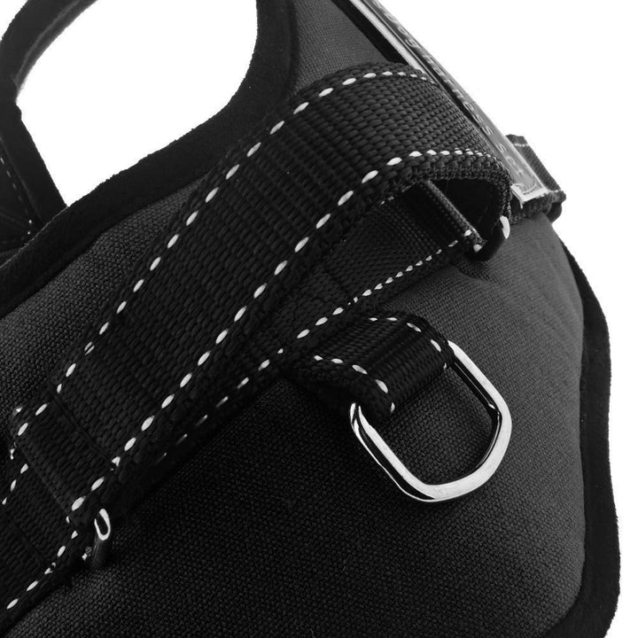 Dog Walking Harness | Bowlift