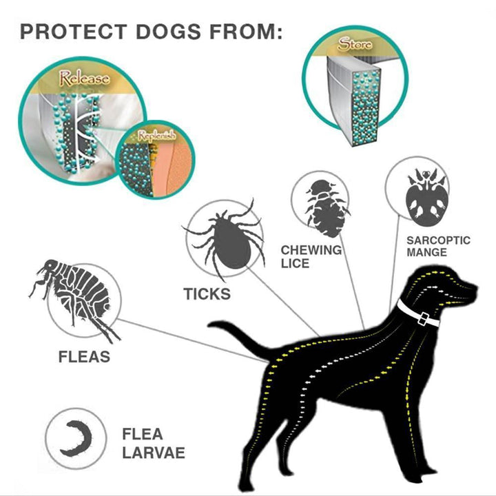 BowLift | Tick and Flea Eliminating Dog Collar