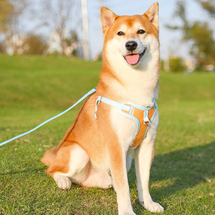 Reflective Puppy Harness - BrightPaw Bowlift