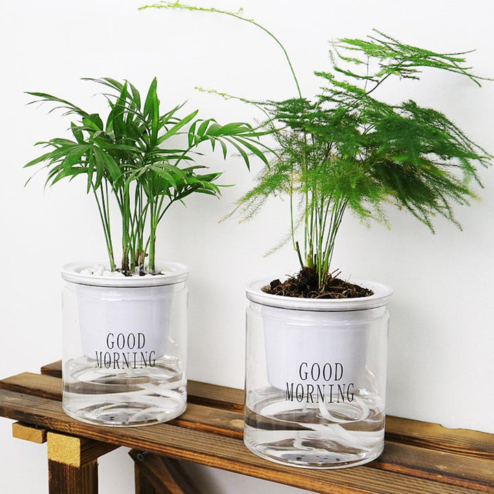 BowLift | Self-watering Hydro-Flower Pot