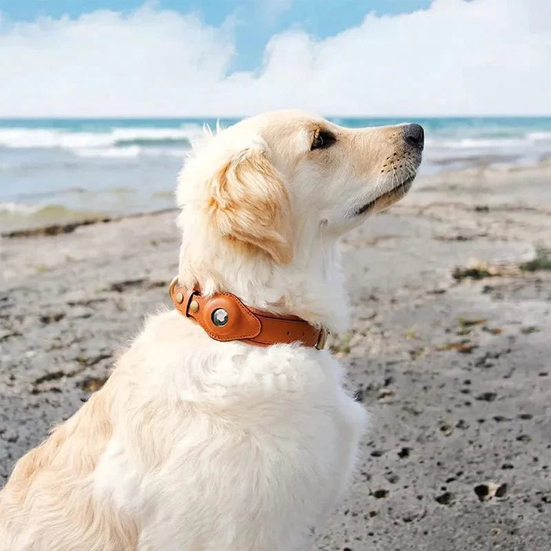 SafeTrack • Premium AirTag Dog Collar