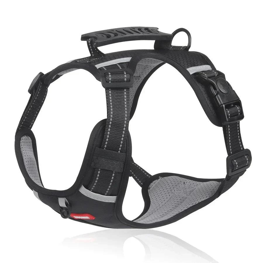 Sturdy &amp; Comfortable Dog Harness - ActivePup™ Bowlift