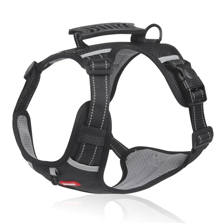 Sturdy &amp; Comfortable Dog Harness - ActivePup™ Bowlift