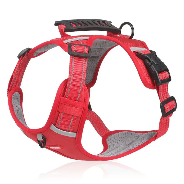 Sturdy &amp; Comfortable Dog Harness - ActivePup™ Bowlift