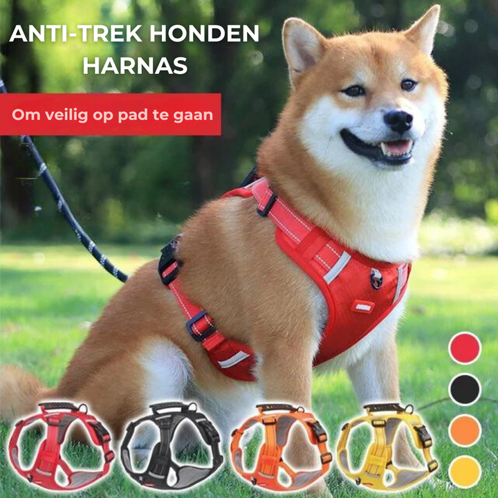 Sturdy &amp; Comfortable Dog Harness - ActivePup™ Bowlift
