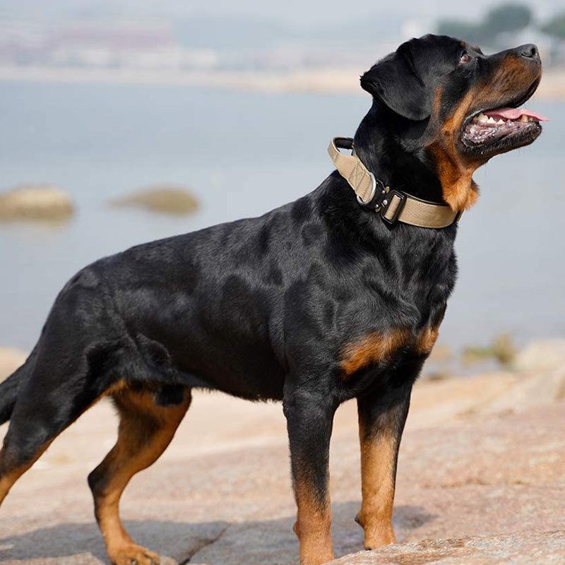Tactical Dog Collar with Handle - PowerGrip Bowlift