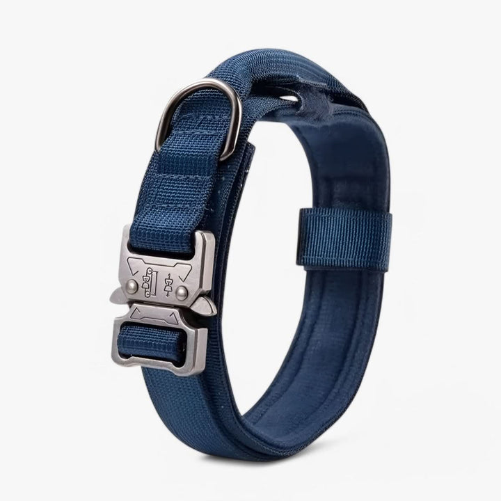 BowLift | Adjustable Dog Collar Set for Adventures and Daily Training