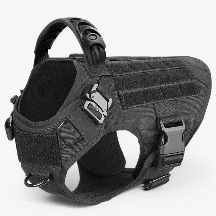 BowLift | Adjustable Dog Harness for Safe and Comfortable Training