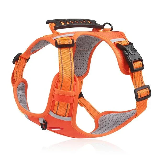 BowLift | WalkEase Harness – Anti-pull dog harness for relaxed walks &amp; healthy posture