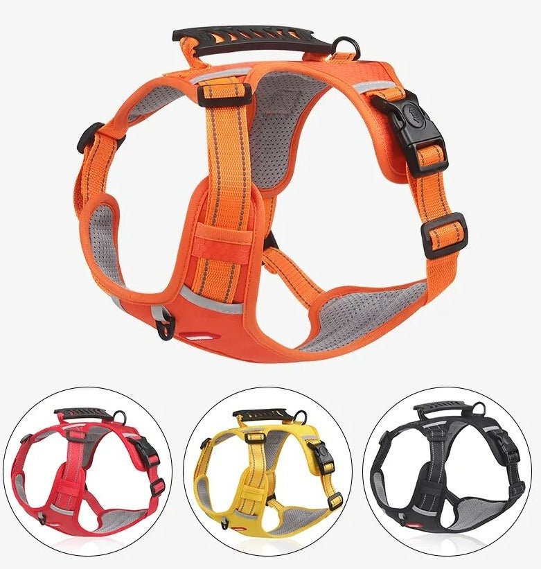 BowLift | WalkEase Harness – Anti-pull dog harness for relaxed walks &amp; healthy posture