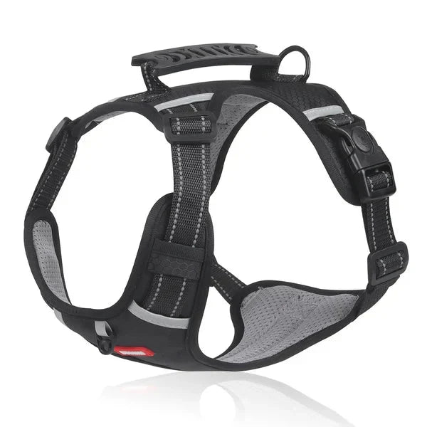 BowLift | WalkEase Harness – Anti-pull dog harness for relaxed walks &amp; healthy posture