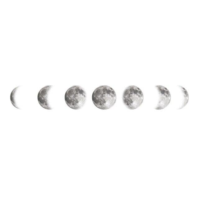 BowLift | Mouth Phases Wall Sticker