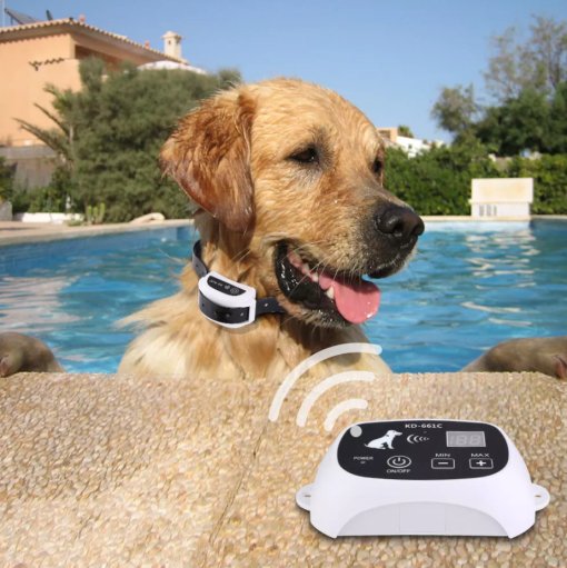 BowLift | Wireless Dog Fence Collar System | Waterproof, Rechargeable &amp; Ideal for Home Training and Outdoor Adventures