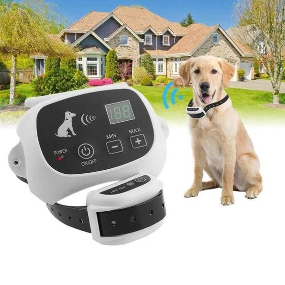 BowLift | Wireless Dog Fence Collar System | Waterproof, Rechargeable &amp; Ideal for Home Training and Outdoor Adventures