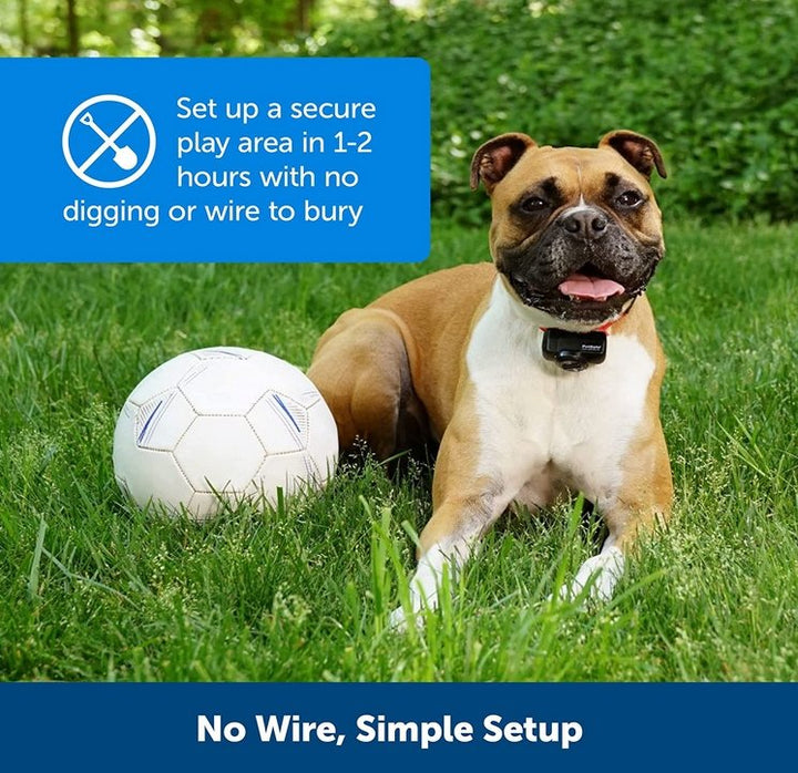 BowLift | Wireless Dog Fence Collar System | Waterproof, Rechargeable &amp; Ideal for Home Training and Outdoor Adventures
